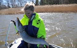 Susanne med gädda