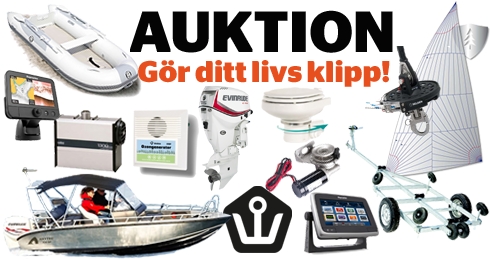 Auktion-artikel-490-ny