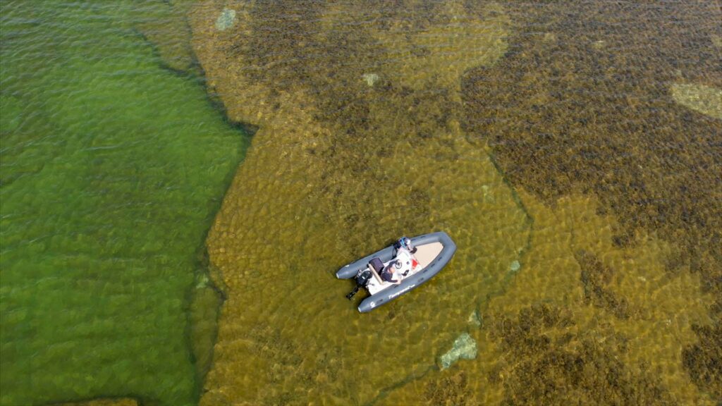 Rib-runt-Gotland