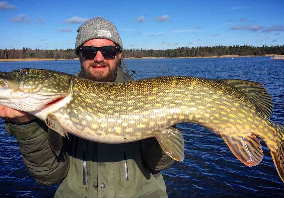 Bästa ekolodet 2016